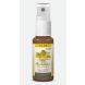 Bachblüten NO 39 Liquid Spray, 20ml