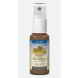 Bachblüten NO 39 Spray Nacht, 20ml