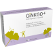 GINKGO                        170MG PLUS+GINSENG KOZBACH  +KNOBLAUCH +LECITHIN      +B1+B6+B12 KAPSELN, 60 Stück
