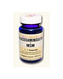 GPH Glucosaminsulfat + MSM 1:1, 60 Kapseln