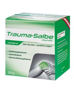 Trauma-Salbe Mayrhofer kühlend-500 g, 500g