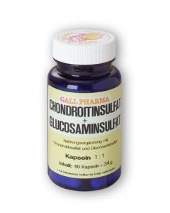 GPH Chondroitinsulfat + Glucosaminsulfat 1:1 Kapseln, 180 Stück